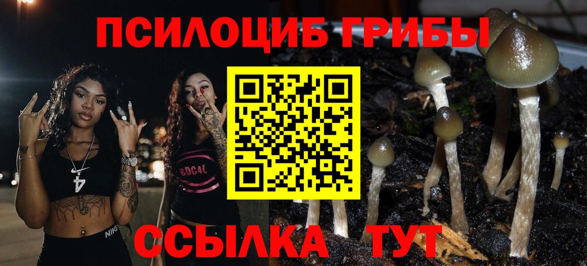 Галлюциногенные грибы MAGIC MUSHROOMS Гатчина
